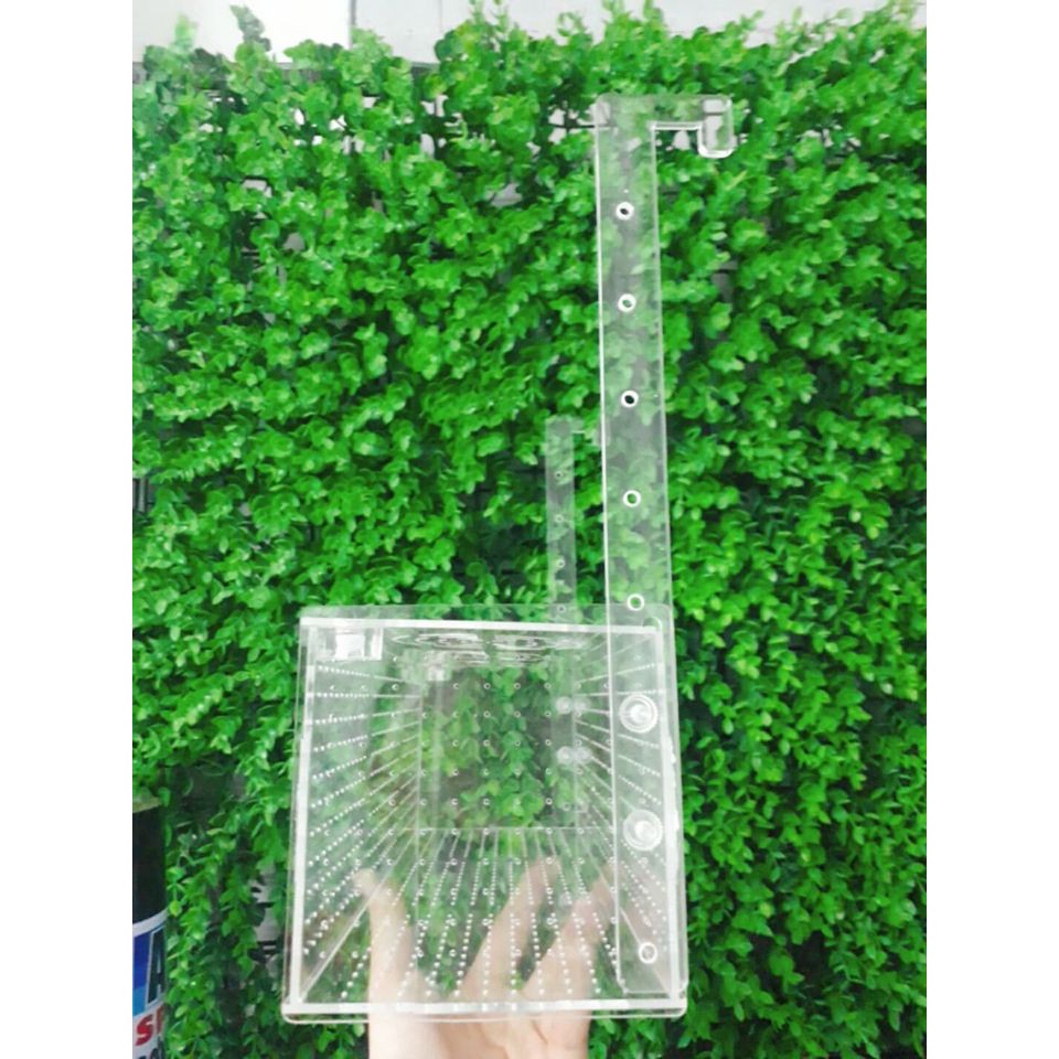 Lồng dưỡng tép/cá 1 ngăn có nắp đậy cao cấp