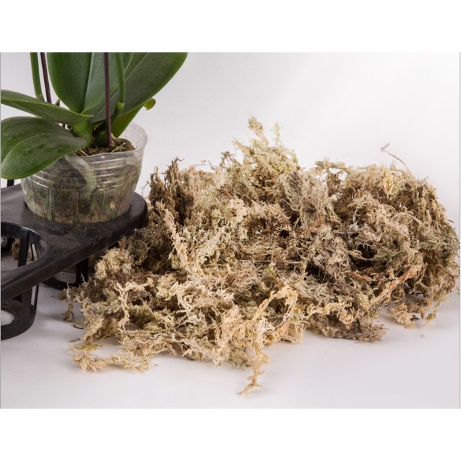 1 Túi Rêu Khô Trồng Cây Tiện Dụng