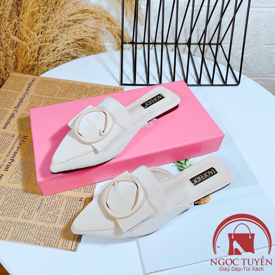 DÉP GUỐC SỤC TAOFEIDI