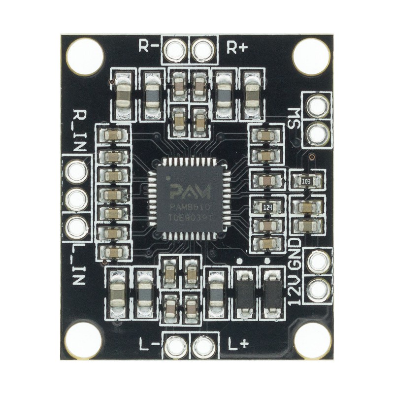 Bảng Mạch Khuếch Đại Âm Thanh Kỹ Thuật Số Pam8610 2x15w
