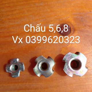 Ốc tán chấu - túi 100 cái