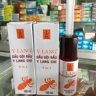 Dầu gội trị chí y lang