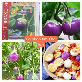 CÀ PHÁO TÍM THÁI LAN