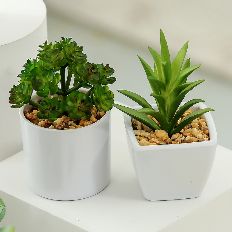Chậu cây hoa nhân tạo phối đá sen mini nhiều kiểu dáng dùng cho trang trí nội thất phòng