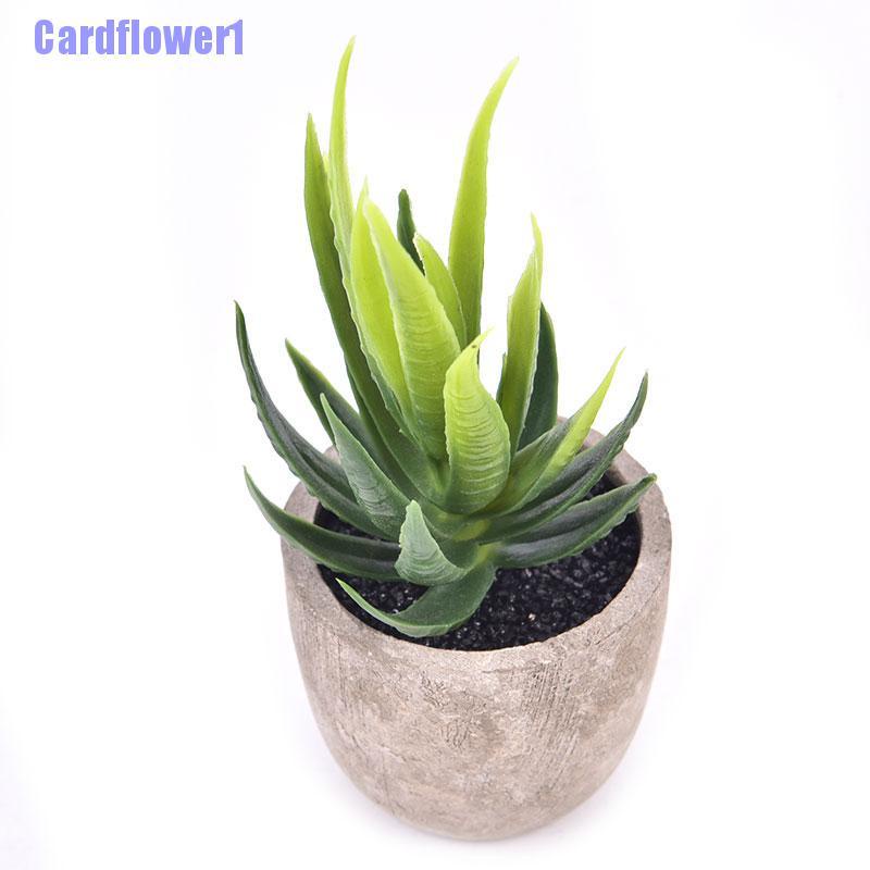 Chậu Cây Giả Mini Trang Trí Sân Vườn