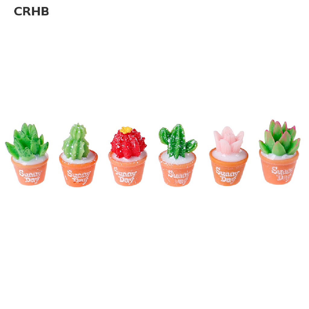 Crhb Set 5 Cây Xương Rồng Bằng Nhựa Resin Nhỏ Tự Trang Trí Chậu Cây Bonsai Mới