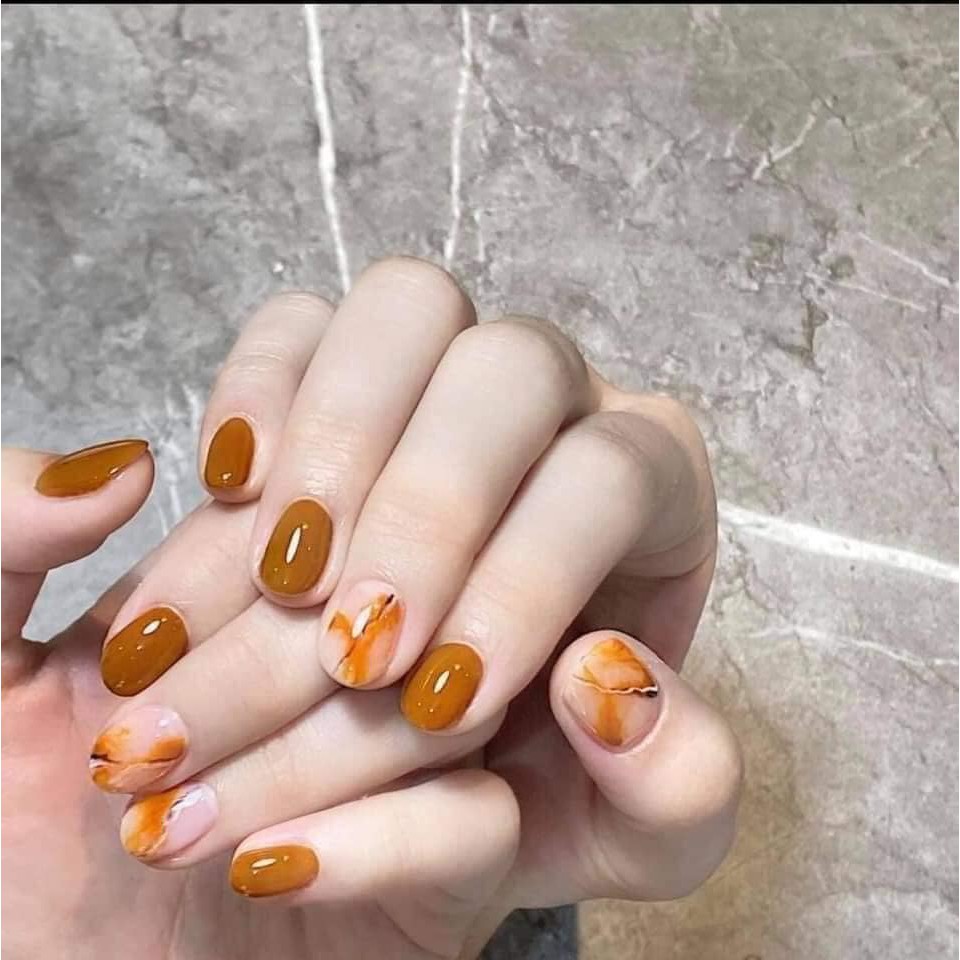 Sơn Gel BNS Bán Lẻ