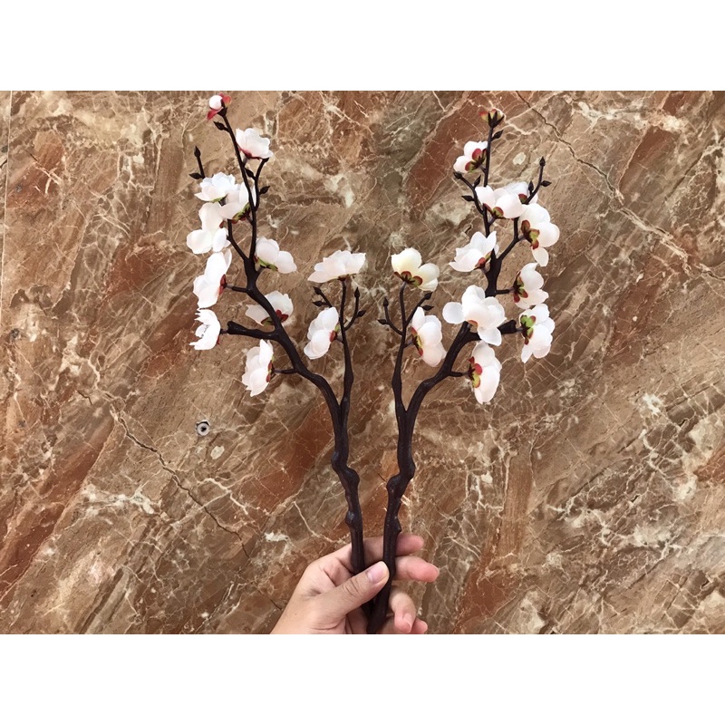 Đào Cổ cành 40cm trang trí ,Cắm bình!