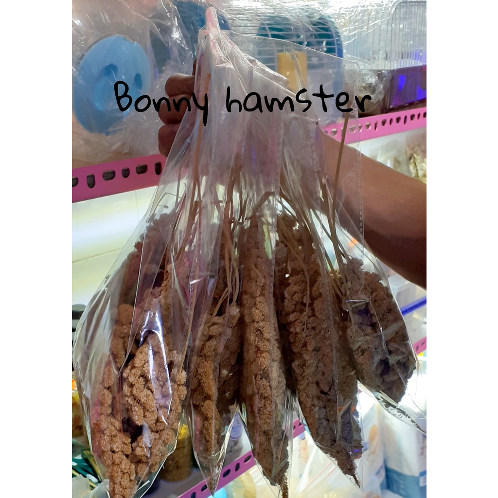 100 g Kê chùm dành cho hamster, sóc, thỏ