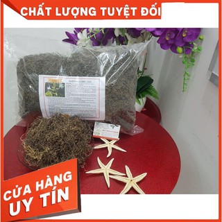 Combo 2Kg Bạch Hoa Xà Thiệt Thảo Khô - Hàng Loại 1 - Đông Y Thanh Bình