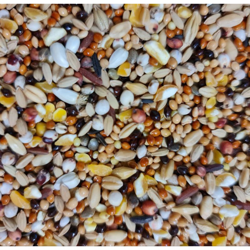 thức ăn cu gáy loại đặc biệt(1kg)