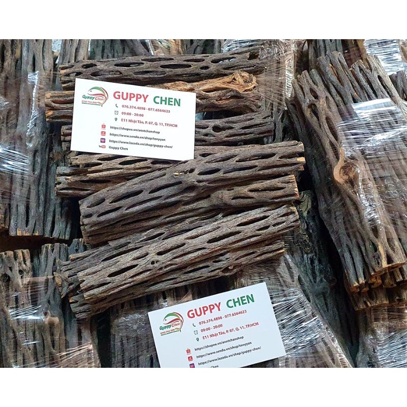 Lũa Cholla CacTus ,Trang Trí hồ Cá Thủy Sinh Tép Cảnh
