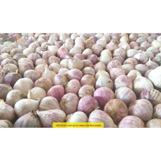 Tinh Dầu Tỏi Kimo [Không Cay - Không Nóng - An Toàn - Tiện Lợi]