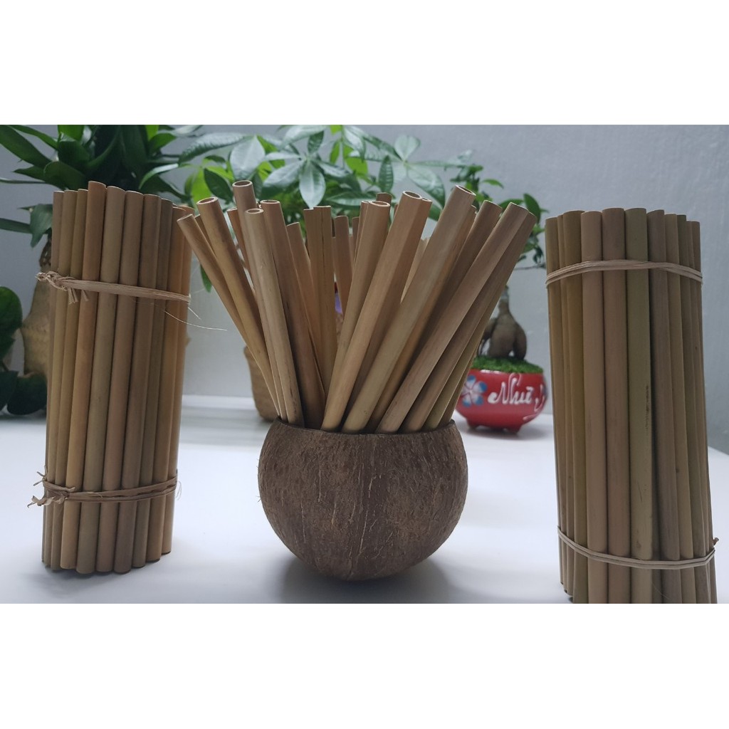 SET 10 Ống hút tre loại II ,thích hợp với mọi loại đồ uống - Bamboo straw