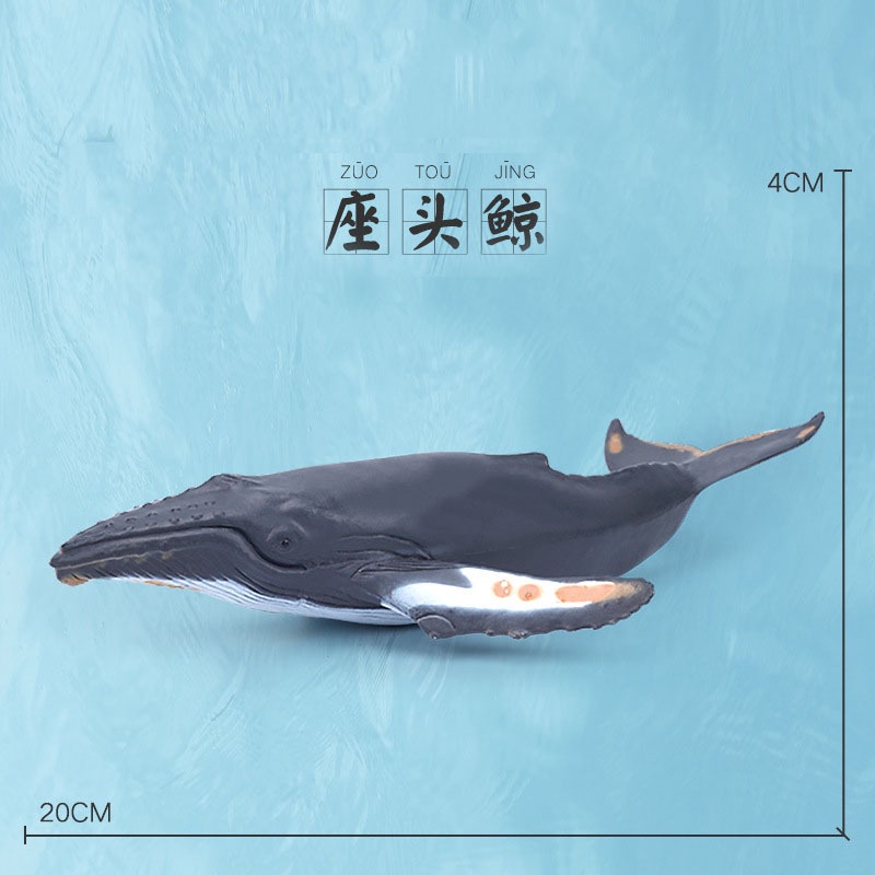 Mô Hình Cá Heo beluga killer / Cá Mập Trắng Bằng Nhựa Độc Đáo Trang Trí Cho Bé