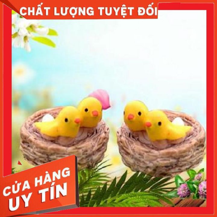 Tổ chim mini ❌ FREE SHIP ❌  phụ kiện trang trí tiểu cảnh