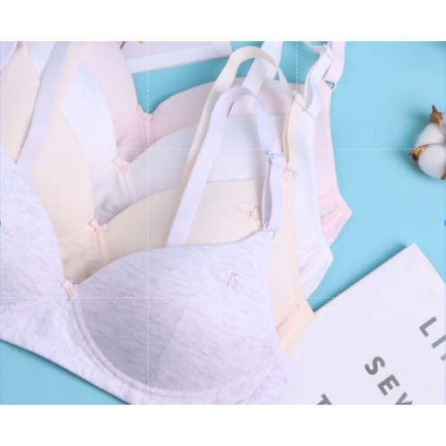 Bra / Áo Ngực Cotton Hình Mèo Nữ Sinh Xuất Đông Âu ( AL203 ). | BigBuy360 - bigbuy360.vn