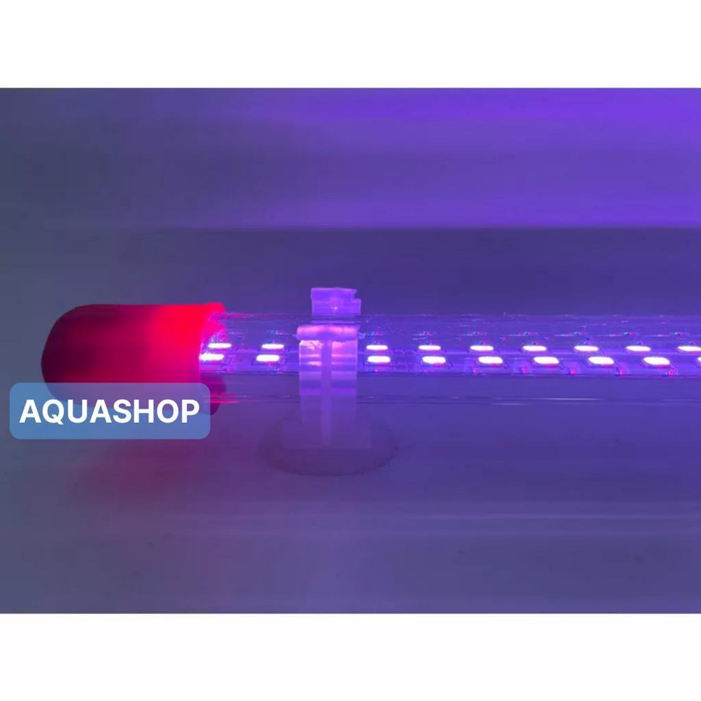 Đèn Led XML Chuyên Dụng Cho Cá Rồng - Led Xuanmeilong Phiên Bản Thủy Tinh Limited