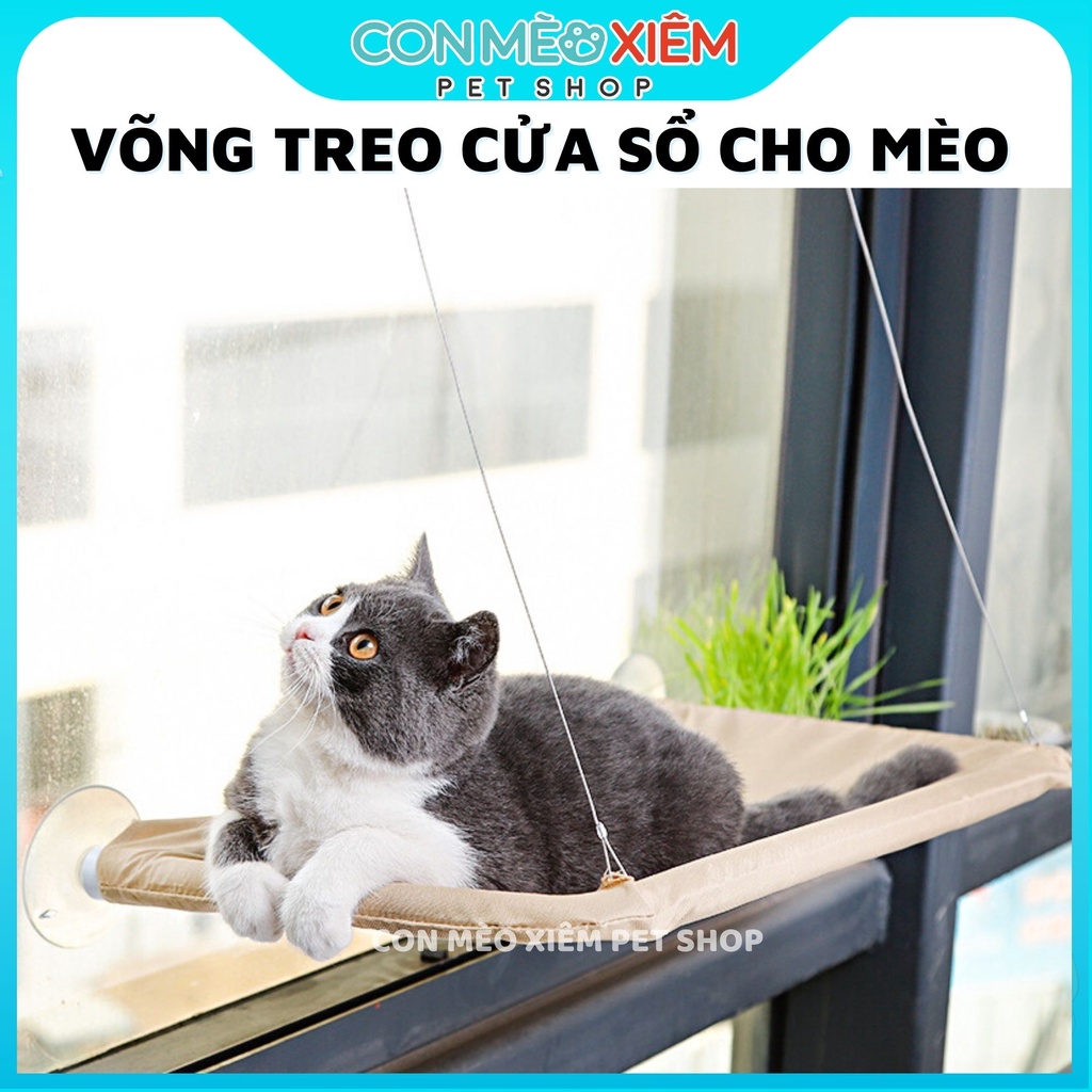 Võng cho mèo treo cửa sổ hút chân không bệ nằm, đồ dùng cún mèo Con Mèo Xiêm