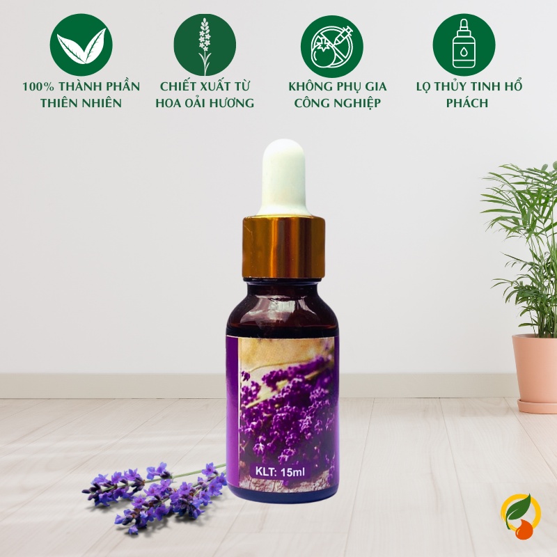 Tinh dầu Oải Hương Lavender essential oil giúp khử mùi, thơm phòng - 10ml