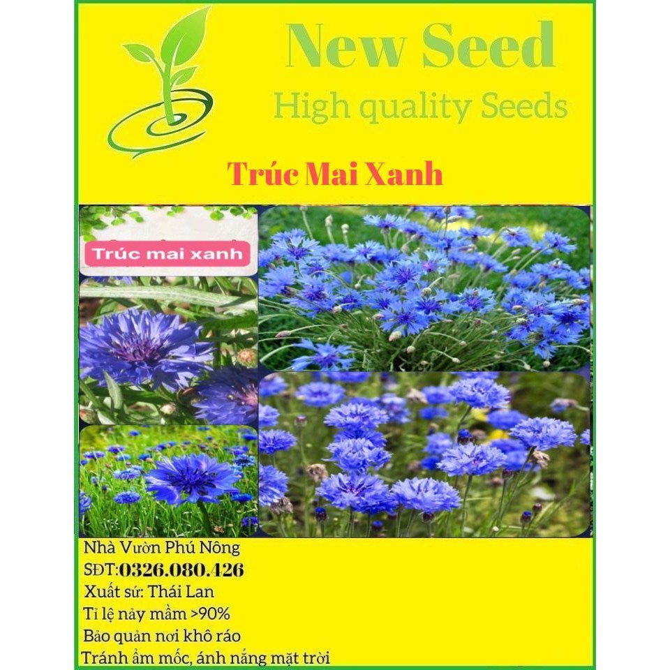 Hạt Giống Trúc Mai Xanh F1 Loại Siêu Dễ Trồng Dễ Chăm Sóc kháng sâu bệnh [gói 50gram,100gram,200gram]