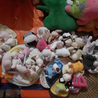 Gấu bông  e yến ngọc