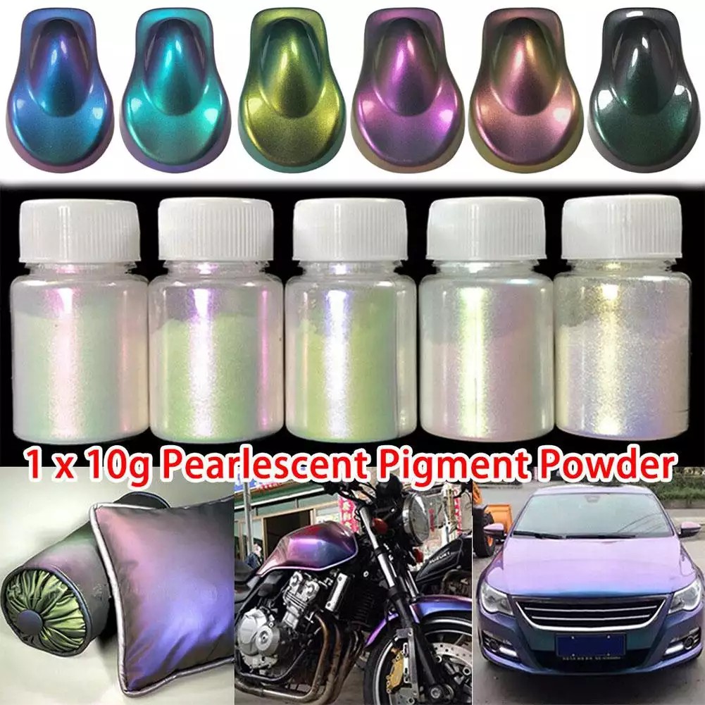 10G Xe Tắc Kè Hoa Màu Sơn Bột Phủ Phụ Kiện Ô Tô Trang Trí