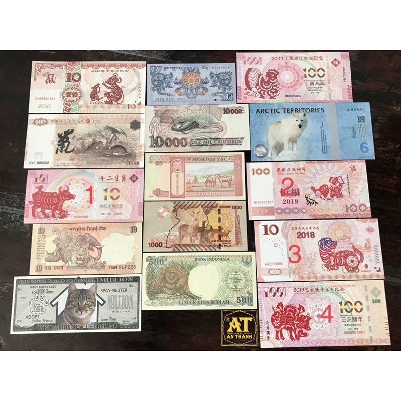 Tiền lưu niệm con giáp Heo Chó Trâu Macao đỏ ma cau dùng làm quà tặng tiền lì xì may mắn