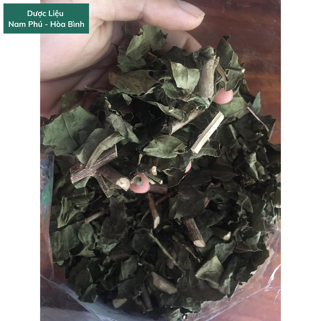 1Kg Lá Vọng Cách Hòa Bình giá SỈ xanh sạch thơm