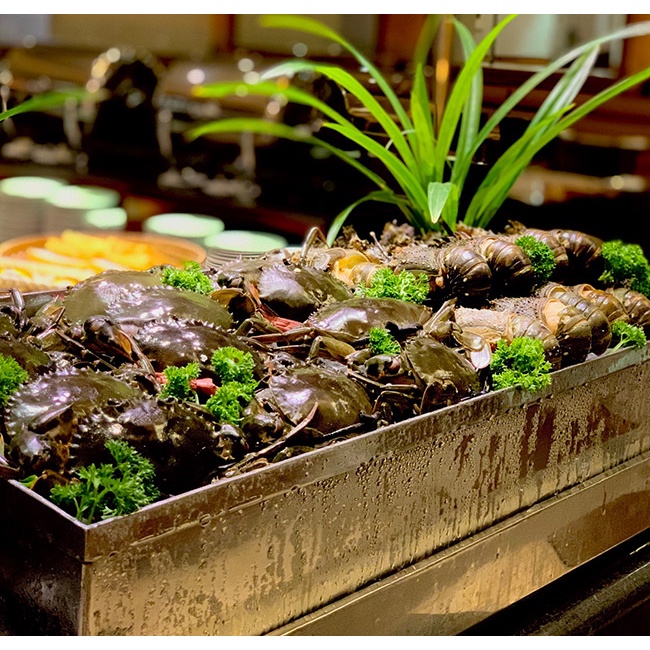 HCM  Saigon Prince - Buffet Hải Sản, Cua Biển, Sashimi Không Giới Hạn