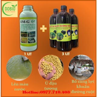 COMBO 1 LÍT EM-G CHẾ PHẨM EM GỐC + 3 LÍT ĐƯỜNG MÍA