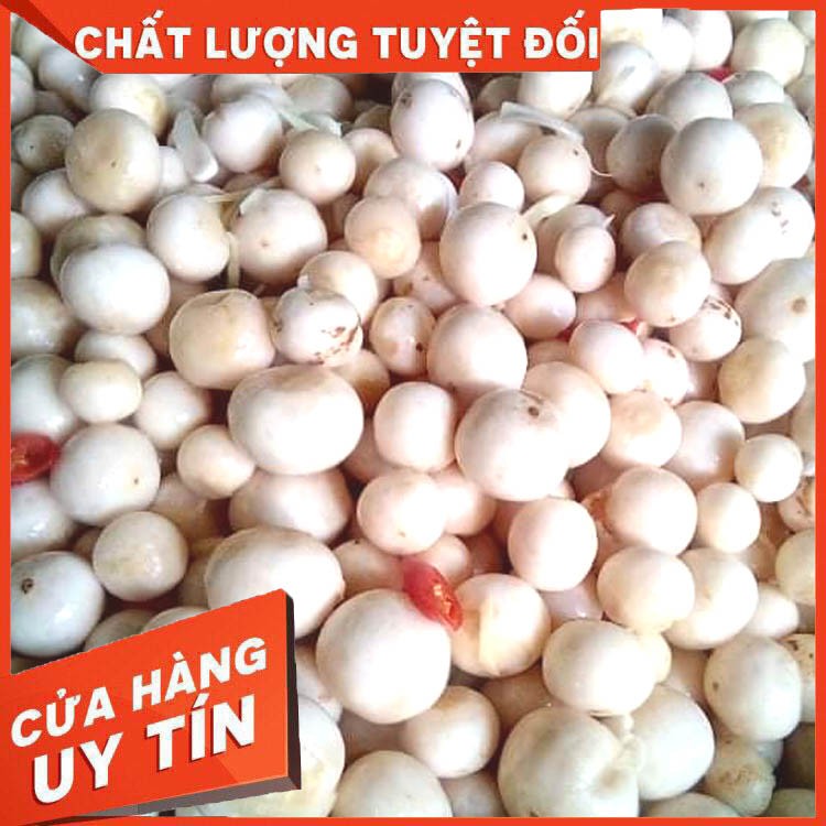 [Đặc sản quê] Cà muối xứ Nghệ - Chỉ bán buôn từ 40 gói trở lên cho điểm bán lẻ, nhà hàng cơm, quán cơm, vv