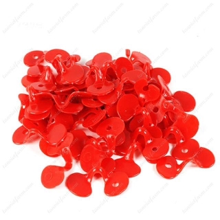set 100 kính xiên đeo mắt cho gà chống căn mổ