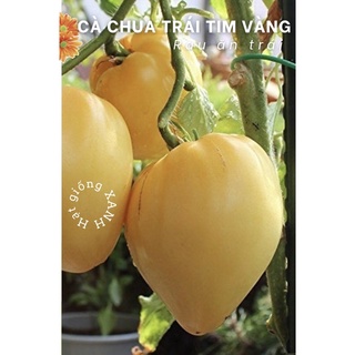 Hạt giống cà chua trái tim vàng gói 0.1gr