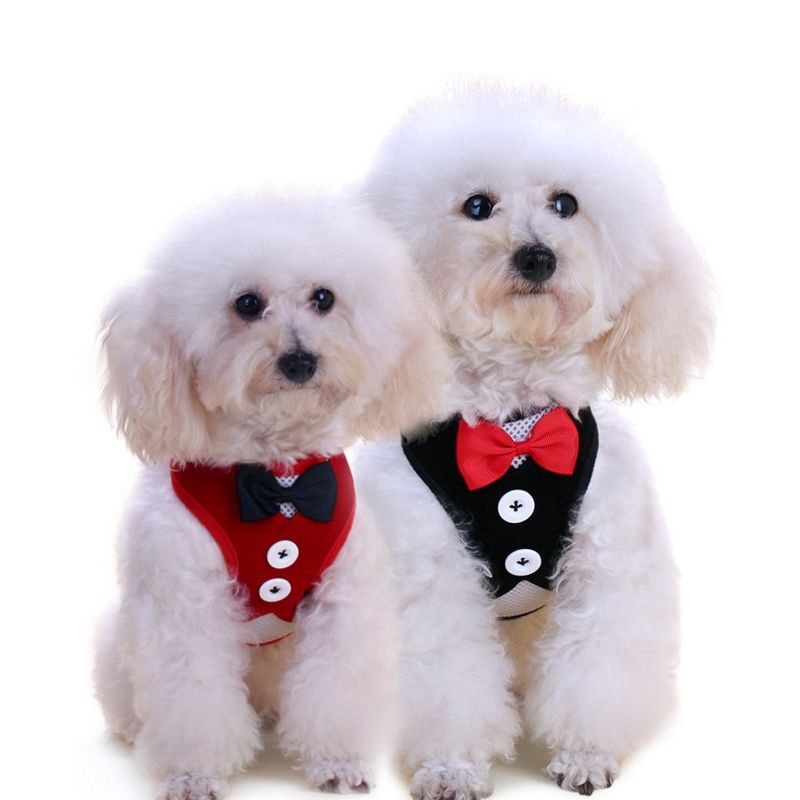 Bộ Áo Vest Thắt Nơ Bằng Nylon Thoáng Khí Kèm Dây Dắt Dành Cho Cún Cưng