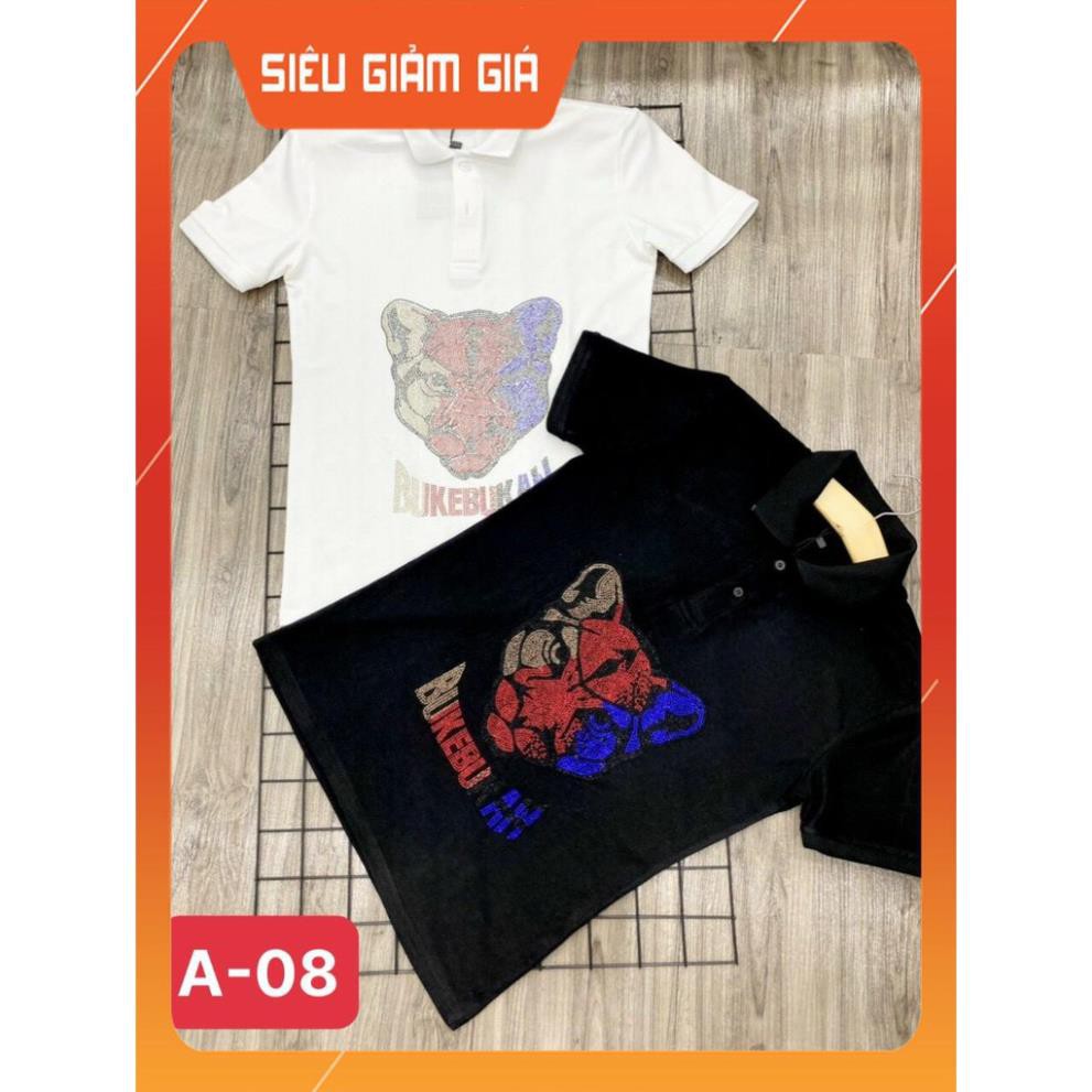 [SIÊU SALE] Áo Thun Kim Sa Nam Chất Vải Cotton Co Giãn Thoải Mái Nhiều Mẫu Hot Nhất 2021 DKFASHION