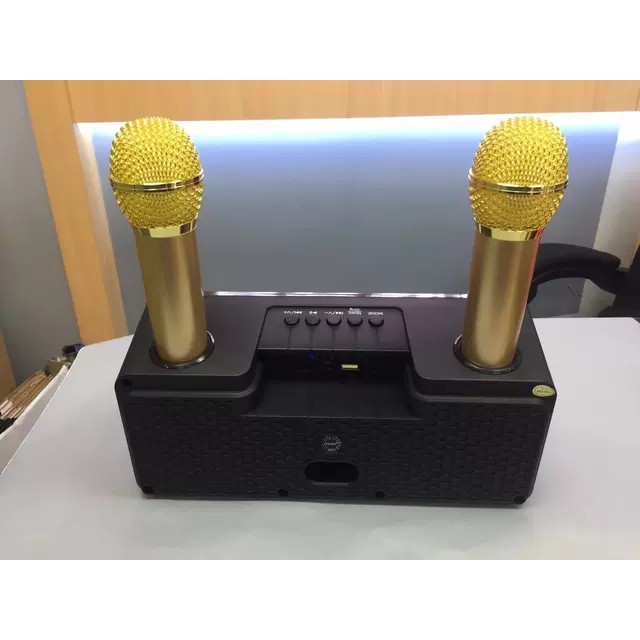 Loa Karaoke SD 301/309  Kèm 2 Micro Không Dây tích hợp bluetooth 4.0 - usb - thẻ nhớ