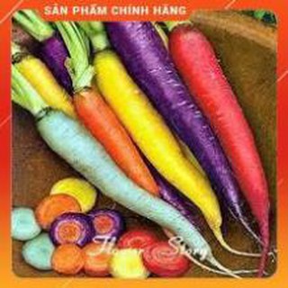 HẠT GIỐNG CÀ RỐT NHIỀU MÀU GÓI 0,2 GRAM