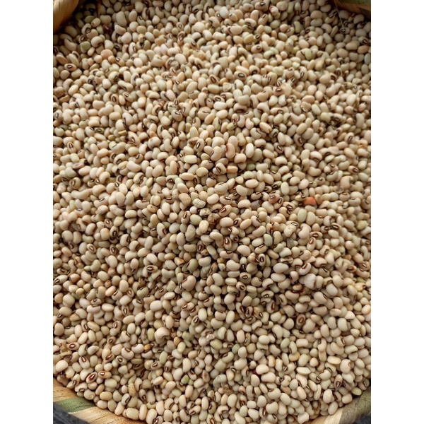 ĐẬU TRẮNG MẮT CUA  - Giống thuần chủng bản địa Cao Bằng