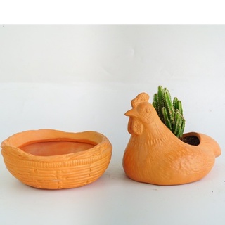 Set Chậu Trồng Cây Đất Nung  - Ổ Gà - TC111