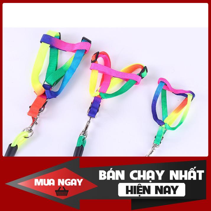 Dây dắt 7 màu cho chó mèo 0