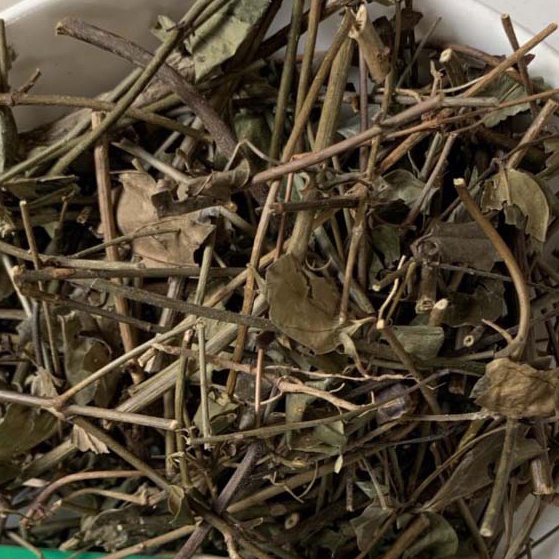 1Kg Chè Vằng Sẻ Lợi Sữa, Trà Vằng Mát Sữa, Lá Chè vằng Khô Giảm Cân Cho Mẹ Sau Sinh