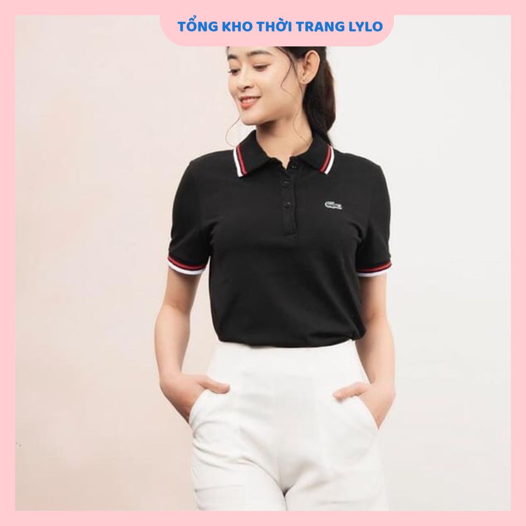 Áo thun nữ cổ bẻ chất cotton thêu hình cá sấu cực đẹp