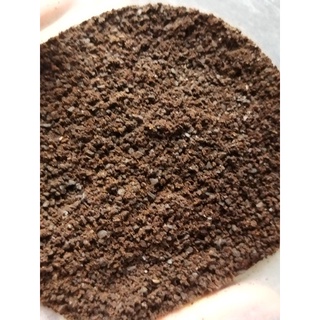Bã cafe tẩy da chết 500g