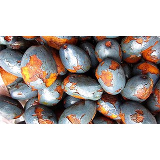 đặc sản  quả  cọ phú thọ