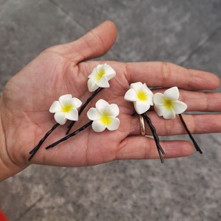 Sỉ 10 kẹp tăm hoa sứ trắng (hoa nhí)