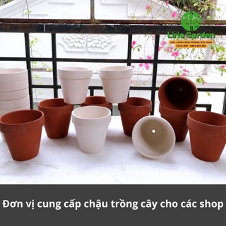 combo 10 chậu đất nung trắng kích thước 6.5x6.5cm