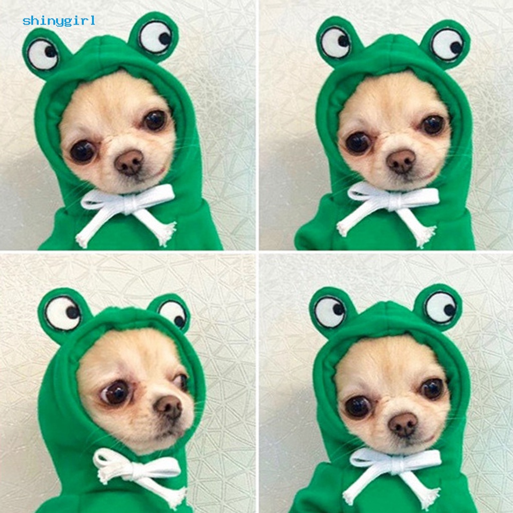 Áo nỉ hoodie cosplay hoa quả siêu đáng yêu cho chó mèo thú cưng