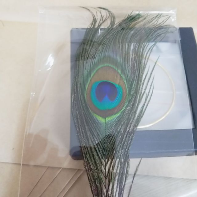 Combo 2 lông công ốp điện thoại 50k