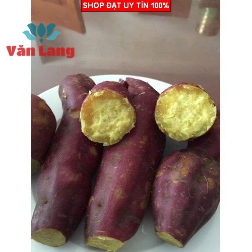 1kg Khoai lang vỏ đỏ lòng vàng siêu ngon, ngọt, bở tơi